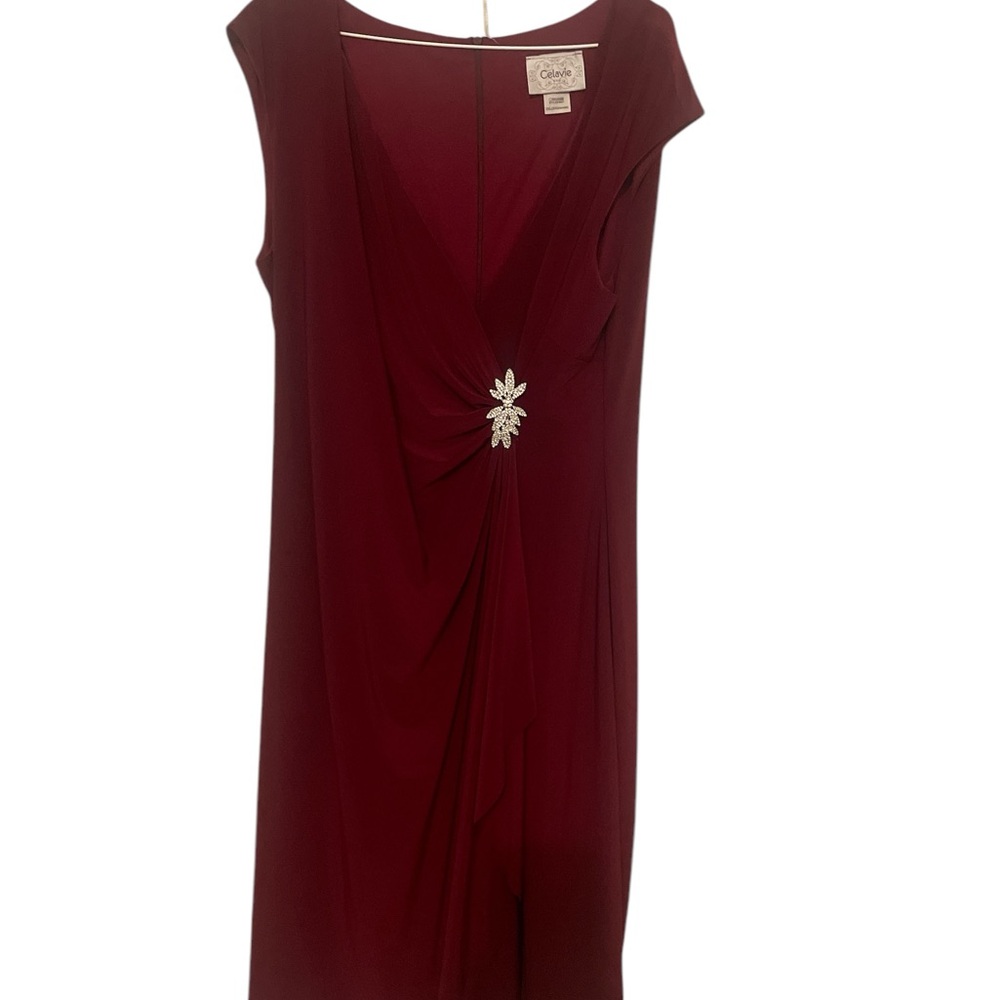 Elegant Garnet Dress with Embellishment